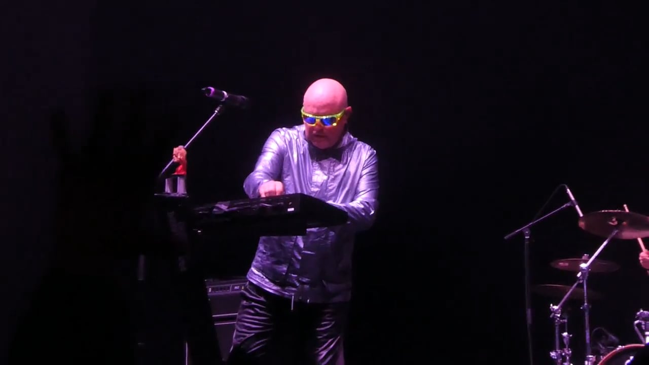 A_Flock_of_Seagulls (3)
