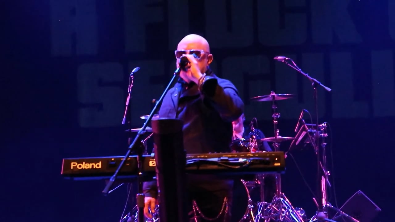 A_Flock_of_Seagulls (8)
