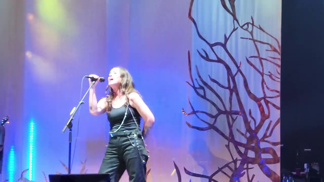 Alanis Morissette (7)
