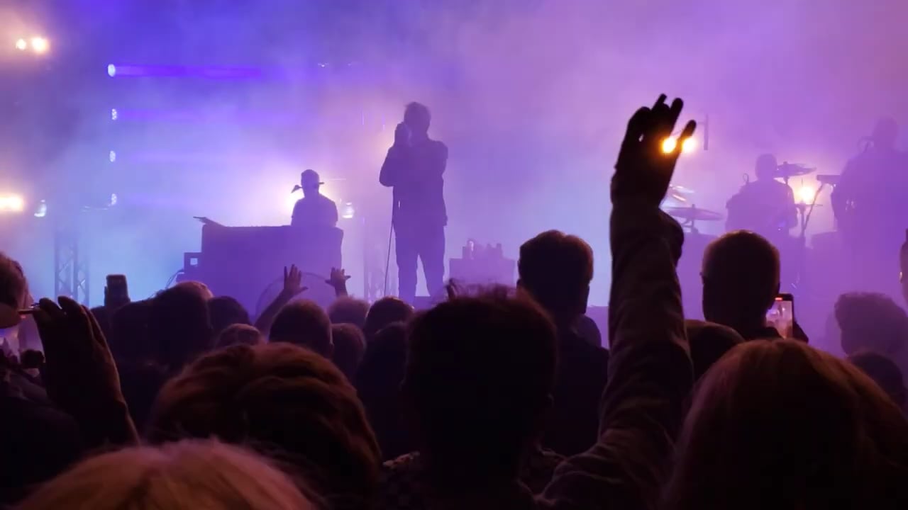 echo and the bunnymen (5)
