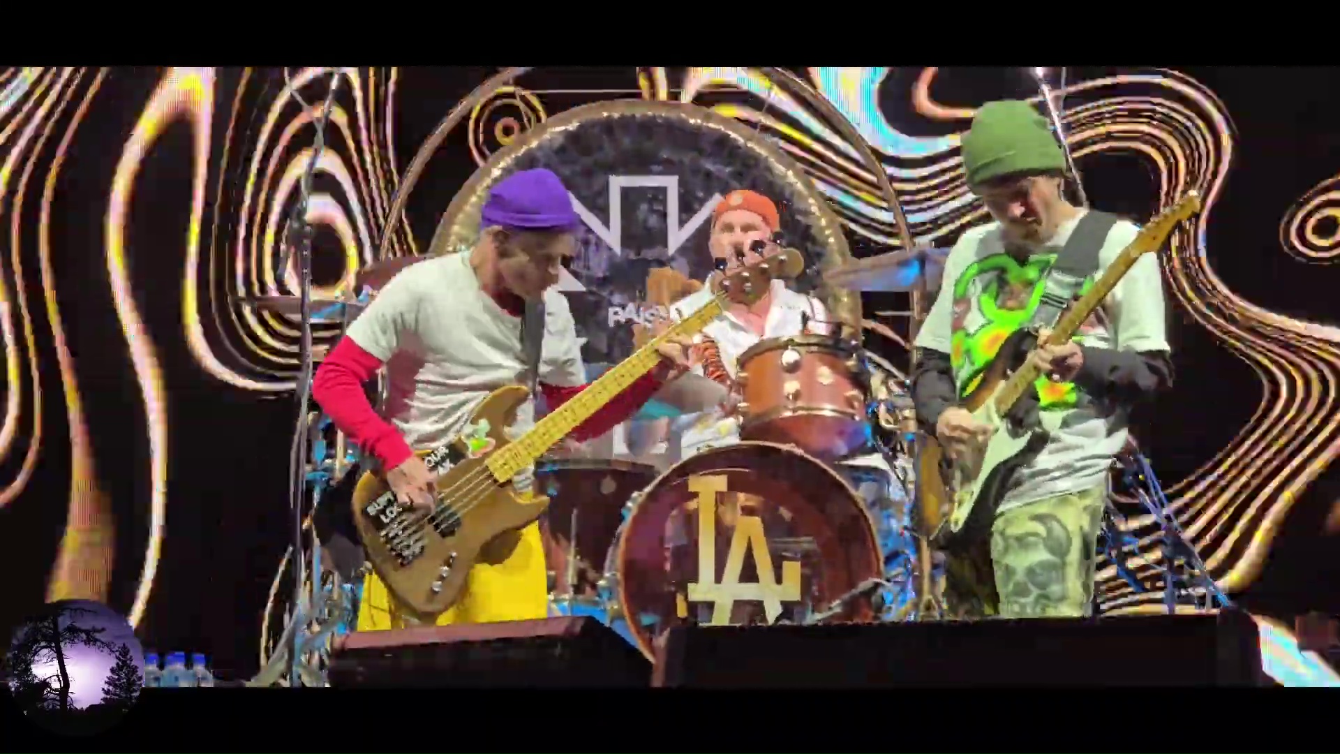 Redhot_Chili_Peppers_28529
