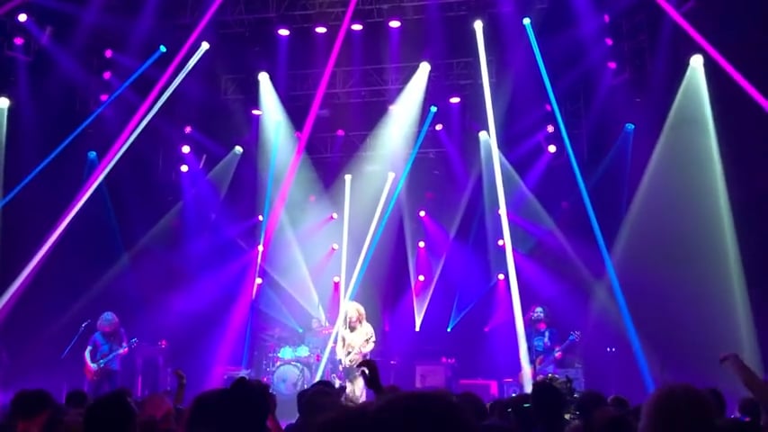 Pigeons-Playing-Ping-Pong-11
