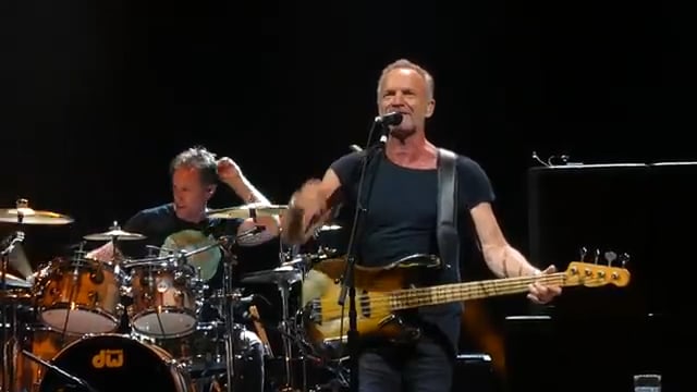 Sting-16
