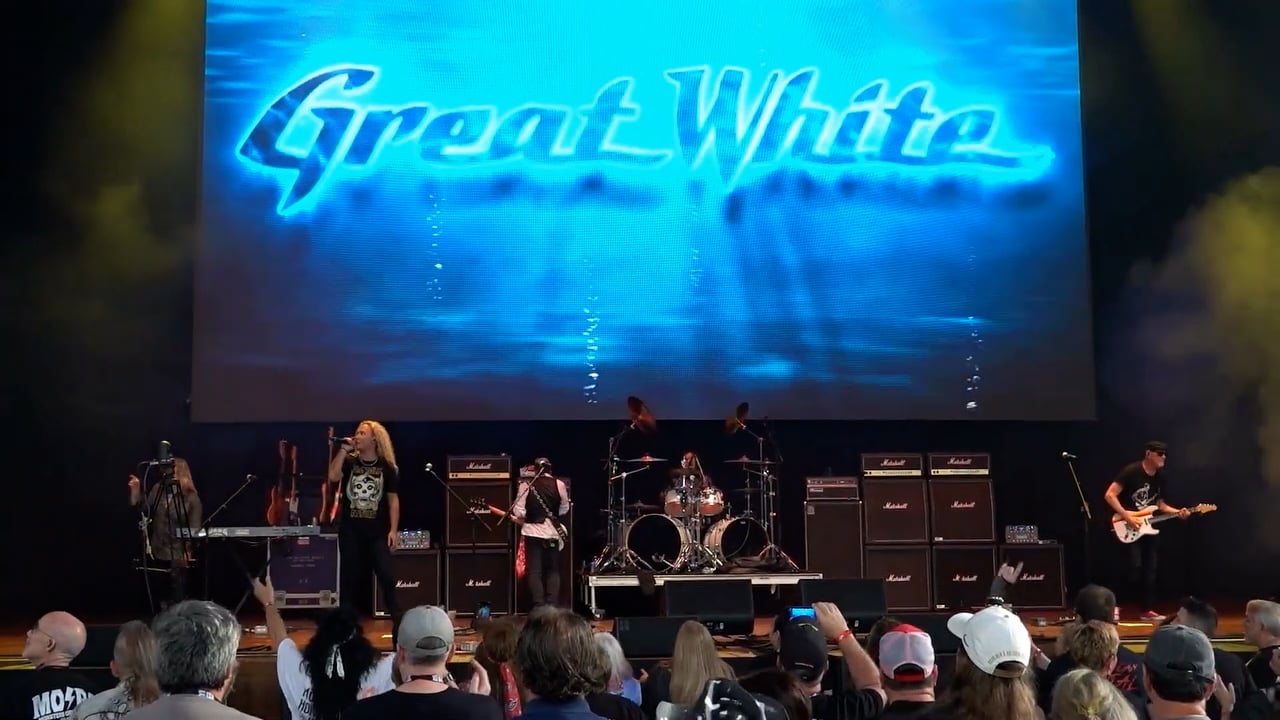 Great White  (3)
